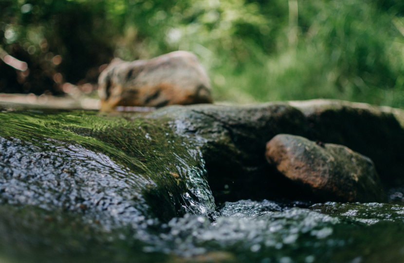 Water